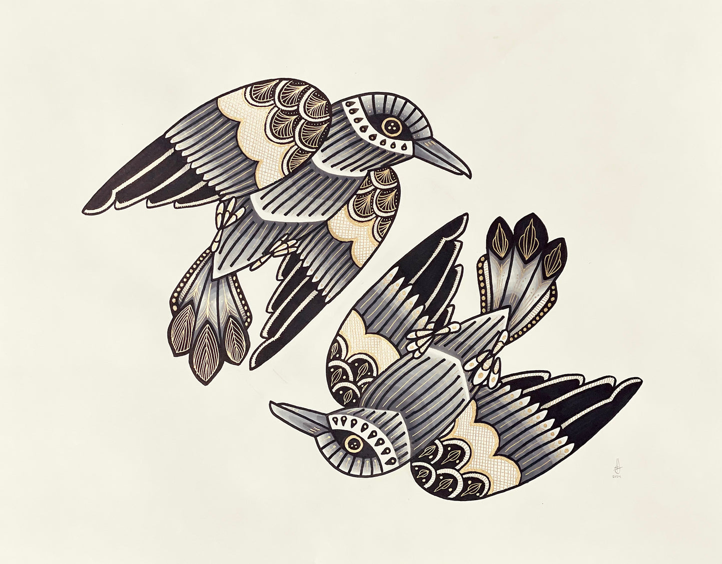 Crow 027